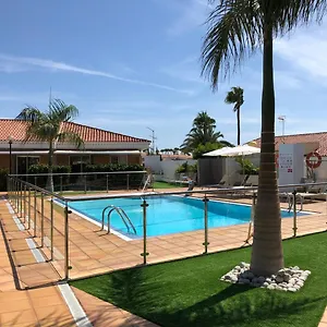 Leones , Maspalomas (Gran Canaria) Spanien